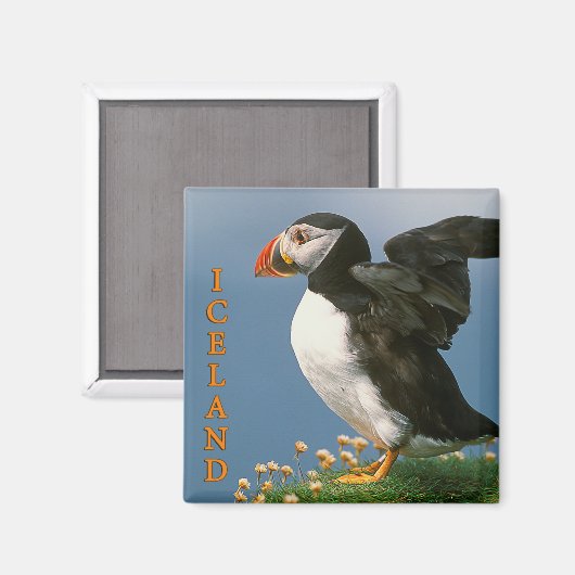 Aimant Islande (Recto/Verso)