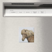 Aimant Islande. Portrait de cheval islandais. (In Situ (Lave-vaisselle))