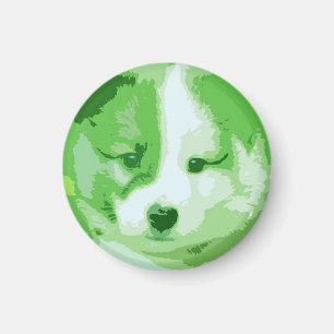 Aimant Islandhund