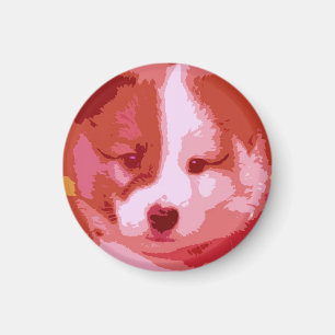 Aimant Islandhund Welpe als Collage en pourriture