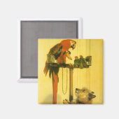 Aimant Islay, Tilco, un Macaw et des Inséparables de Land (Recto/Verso)