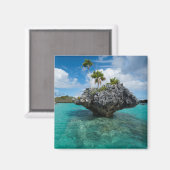 Aimant Islet De Champignons À Fidji (Recto/Verso)