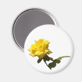 Aimant Isoler Rose jaune (Recto/Verso)