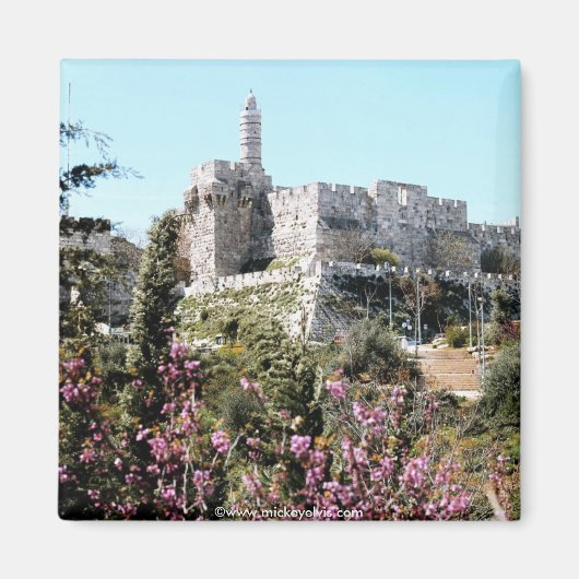 Aimant Israël 22 (Devant)