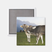 Aimant Italie, Alto Adige (Recto/Verso)