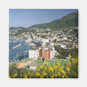 Aimant ITALIE, Campanie, (baie de Naples), ISCHIA, LACCO