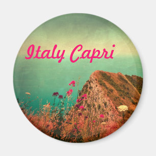 Aimant Italie Capri