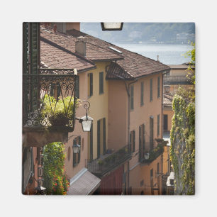 Aimant Italie, province de Côme, Bellagio. Salita