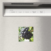 Aimant Ivy Berries (In Situ (Lave-vaisselle))