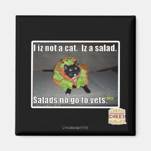 Aimant Iz I pas un chat. Iz une salade