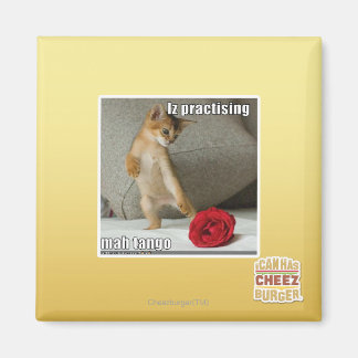 Aimant Iz pratique mah tango