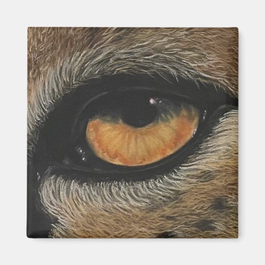 Aimant J’ai l’oeil sur toi. Cheetah (Devant)