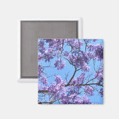 Aimant Jacaranda Blossoms (Recto/Verso)
