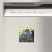 Aimant Jacinthe des bois (In Situ (Lave-vaisselle))