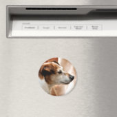 AIMANT JACK RUSSELL TERRIER CHIEN (In Situ (Lave-vaisselle))