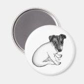 Aimant Jack Russell Welpe 10 Wochen alt (Recto/Verso)