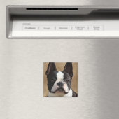 Aimant Jack the Boston terrier (In Situ (Lave-vaisselle))