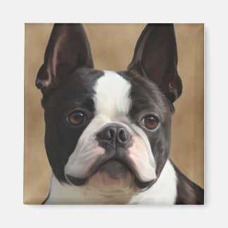 Aimant Jack the Boston terrier