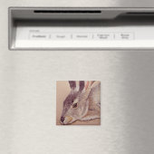 Aimant Jacklapin (In Situ (Lave-vaisselle))
