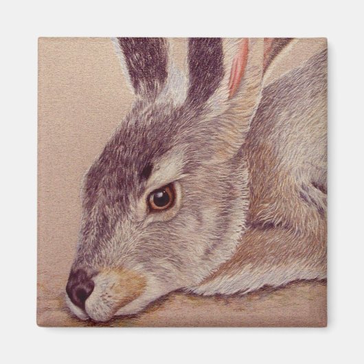 Aimant Jacklapin (Devant)