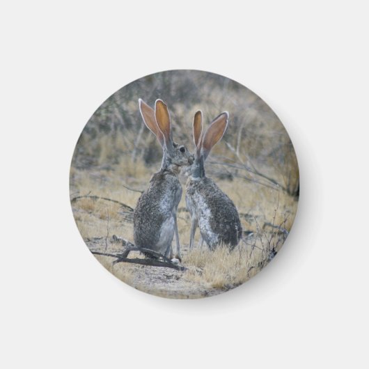 Aimant Jackrabbits (Devant)