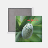 Aimant Jade Plaisir (Recto/Verso)