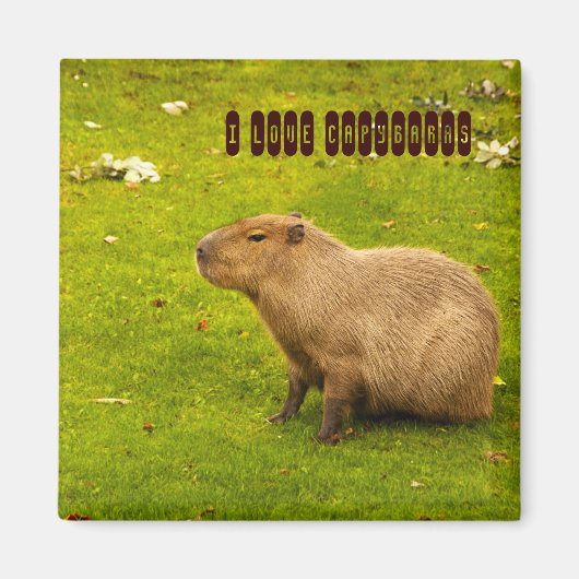 Aimant J'adore l'aimant Capybaras (Devant)