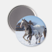 AIMANT J'ADORE LES CHEVAUX (Recto/Verso)