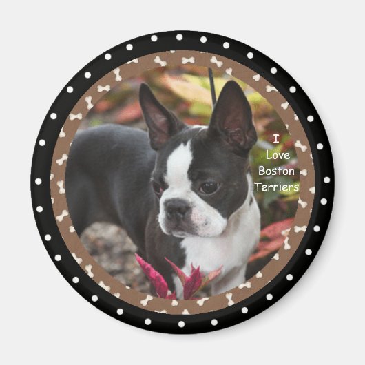 Aimant J'adore les chiens de boston Terrier (Devant)