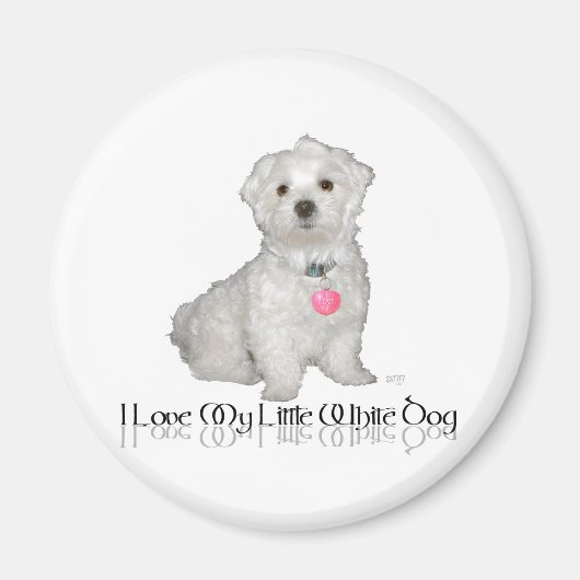 Aimant J'adore mon petit chien blanc - Maltese ! (Devant)