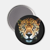 Aimant Jaguar (Recto/Verso)