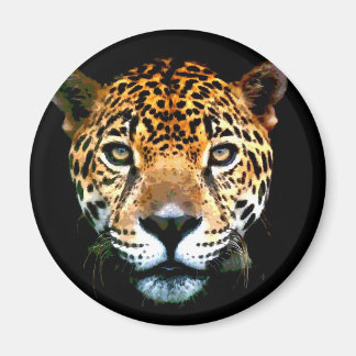 Aimant Jaguar