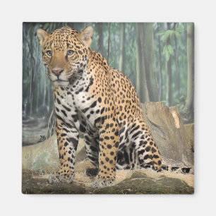 Aimant Jaguar beau