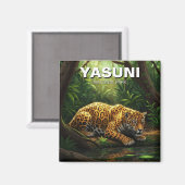 Aimant Jaguar dans le Parc national de Yasuni Equateur (Recto/Verso)