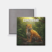 Aimant Jaguar dans le parc national du Corcovado Costa Ri (Recto/Verso)