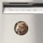 Aimant Jaguar en mai II (In Situ (Lave-vaisselle))