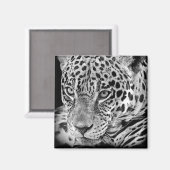 Aimant Jaguar exotique (Recto/Verso)