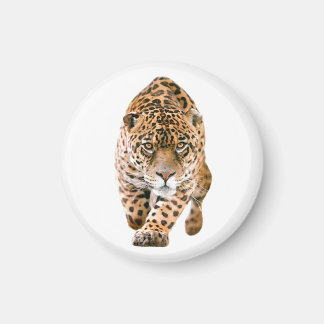 Aimant Jaguar Eyes