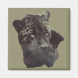 Aimant Jaguar noir