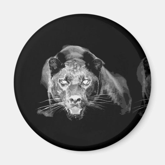 Aimant Jaguar noir et blanc - Chats sauvages (Devant)