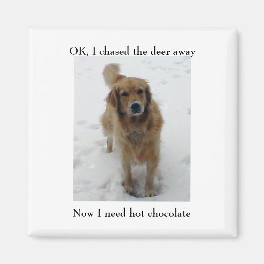 Aimant J'ai arrêté, OK, j'ai chassé le cerf, Maintenant, (Devant)