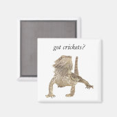 Aimant J'ai des criquets (Recto/Verso)