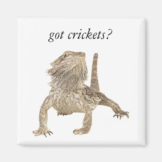 Aimant J'ai des criquets (Devant)