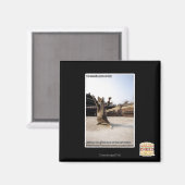 Aimant J'ai des pattes de shaolin de fureur (Recto/Verso)