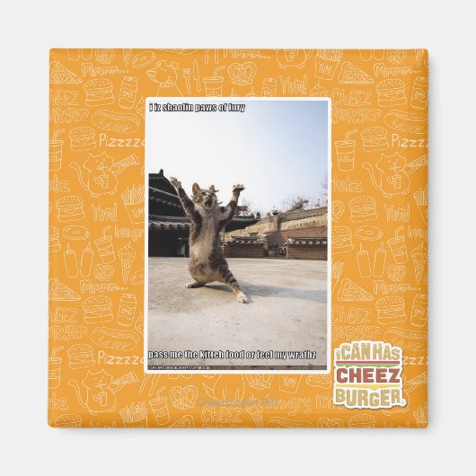 Aimant J'ai des pattes de shaolin de fureur (Devant)