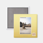 Aimant J'ai des pattes de shaolin de fureur (Recto/Verso)