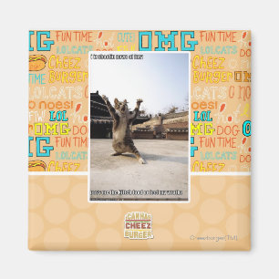 Aimant J'ai des pattes de shaolin de fureur