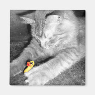 Aimant "J'ai dit l'aimant en caoutchouc de canard