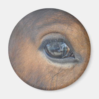 Aimant J'Ai L'Oeil Sur Toi