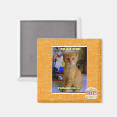 Aimant J'ai lu votre journal (Recto/Verso)